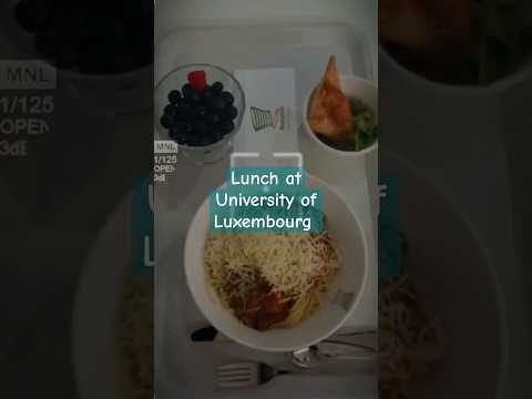 Le déjeuner des étudiants Erasmus à l'Uni.lu